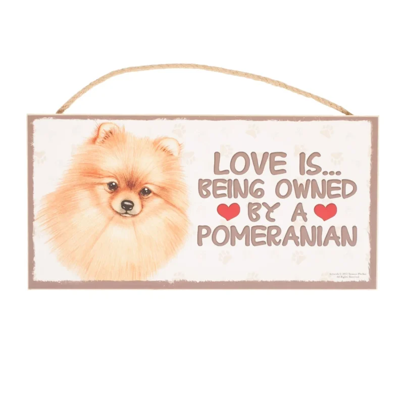 pomeranian dental care kit for plaque prevention