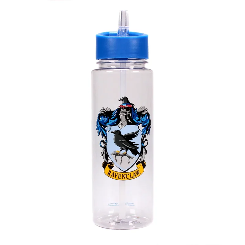 ravenclaw harry potter water bottle