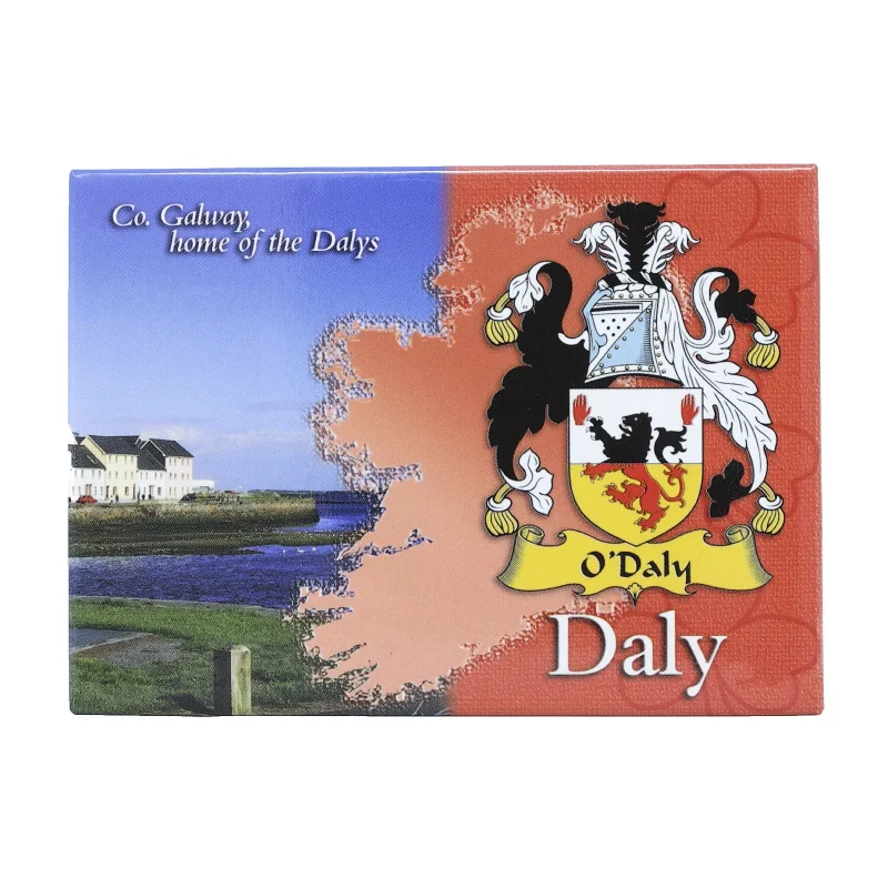 scenic ireland metallic magnet by daly