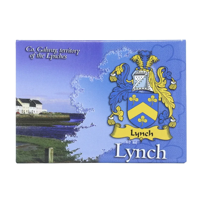 scenic ireland metallic magnet by lynch