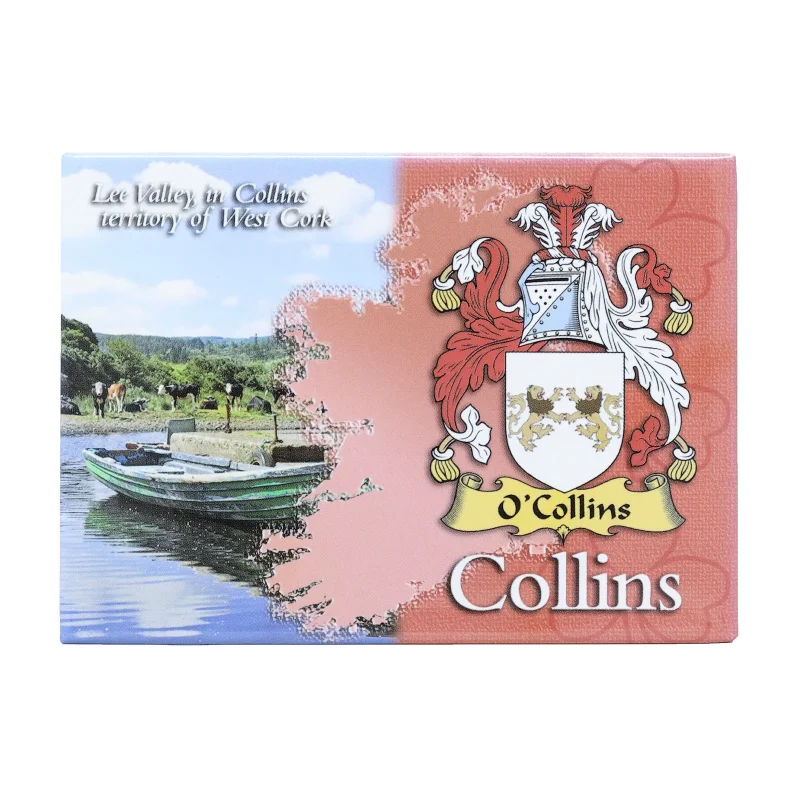 scenic ireland metallic map magnets