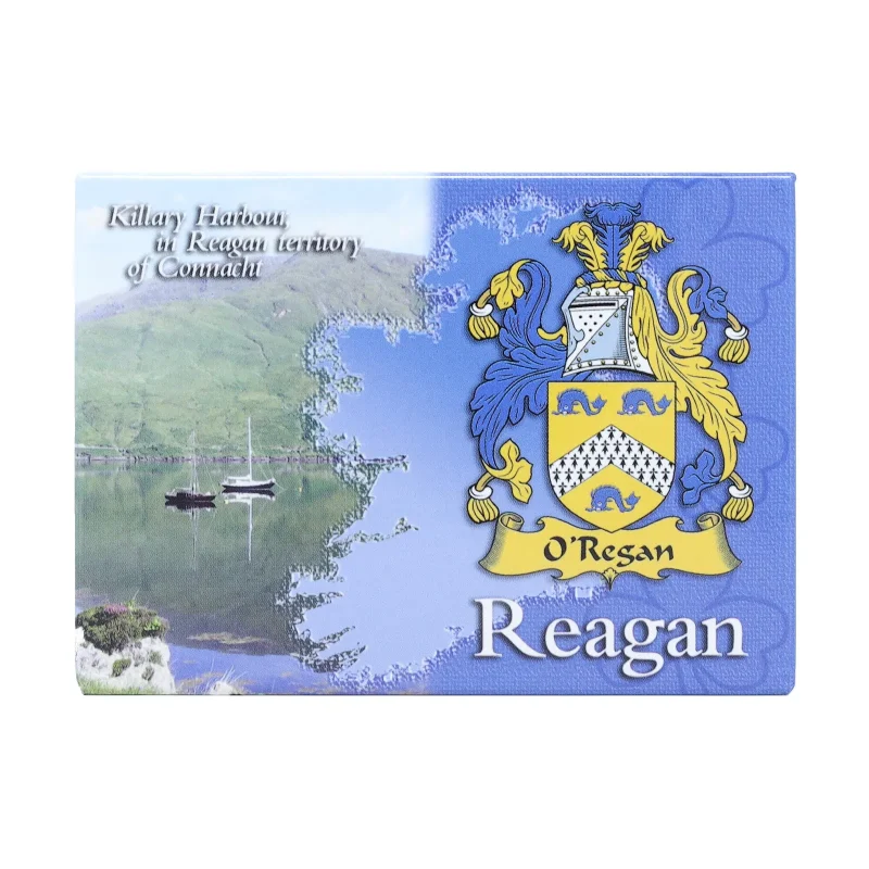 scenic ireland metallic reagan magnet