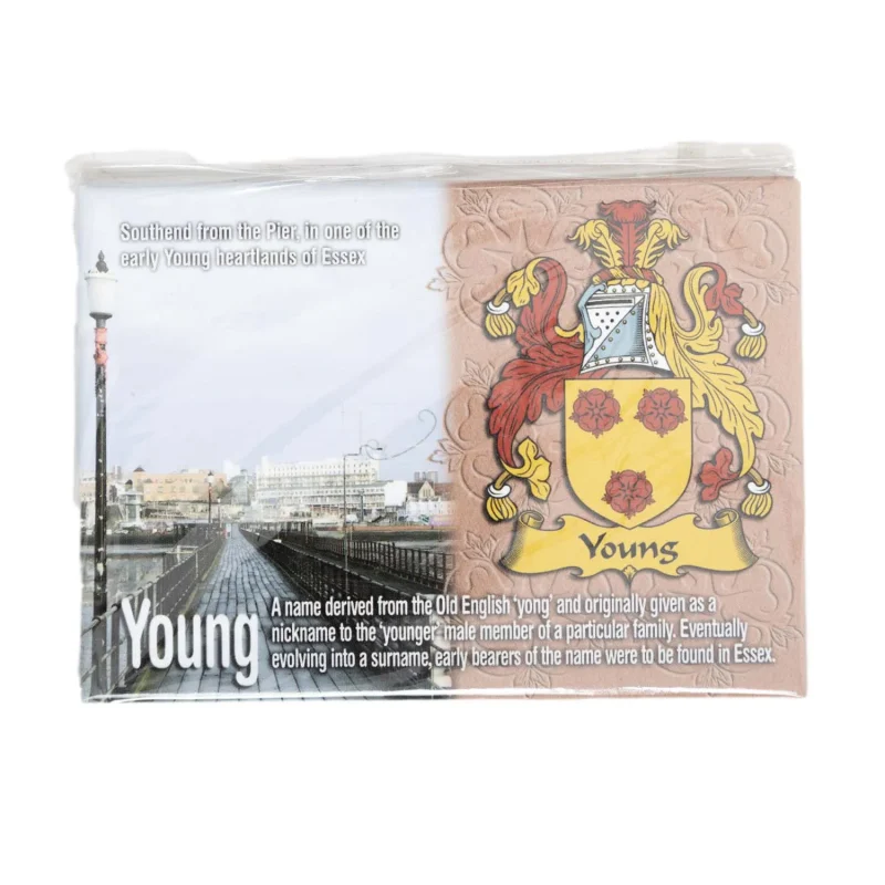 scenic metallic scotland magnet by scotlan young