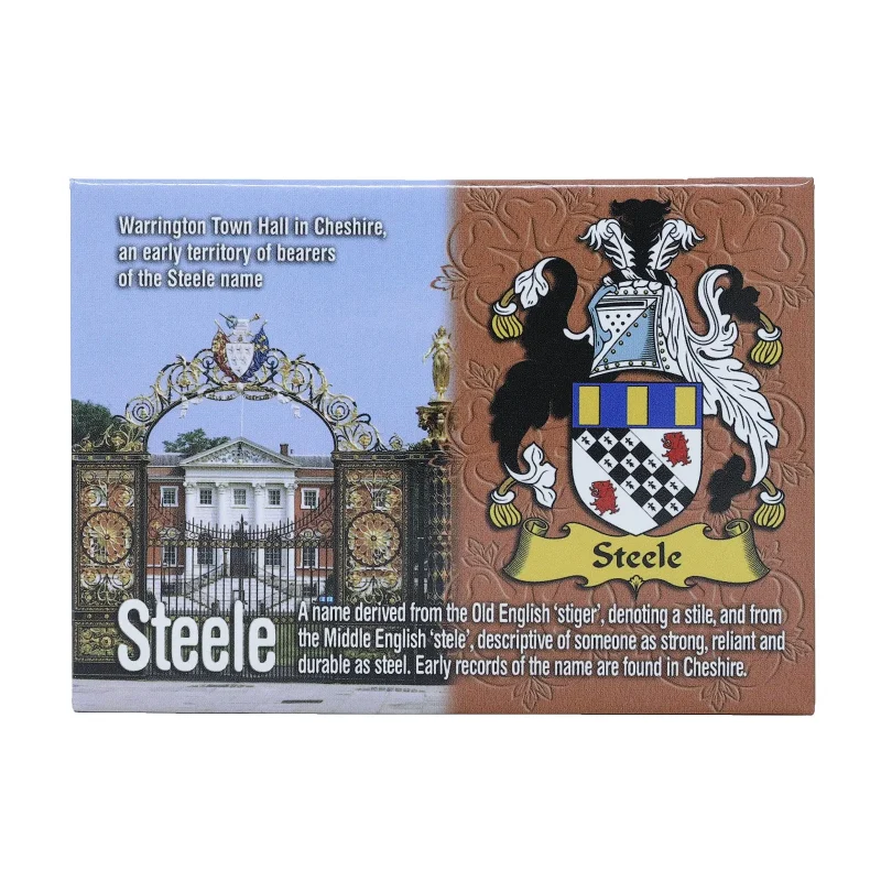 scenic wales metal magnet ni eng steele