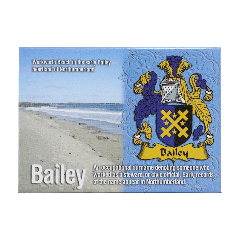 scenic wales metallic engraving magnet by bailey