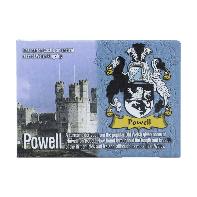 scenic wales metallic magnet by ni eng powell