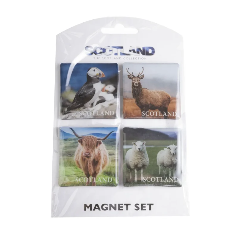 scottish wildlife 4 piece magnet set