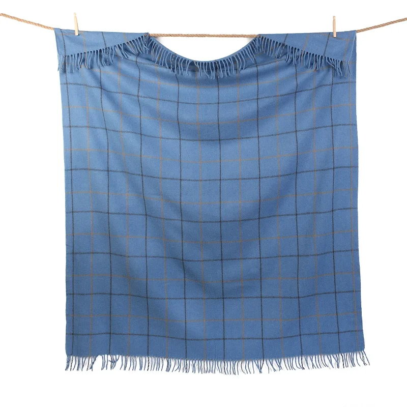 sky blue check blanket