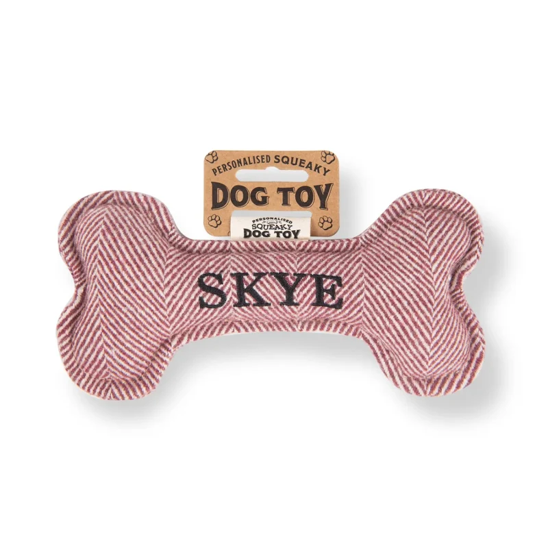 skye squeaky bone dog toy