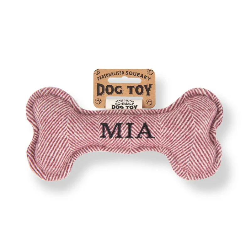 squeaky bone dog toy for active play