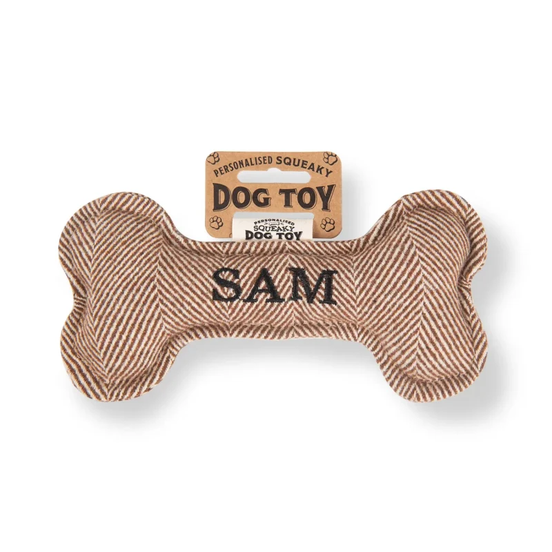 squeaky bone dog toy for small to medium breeds