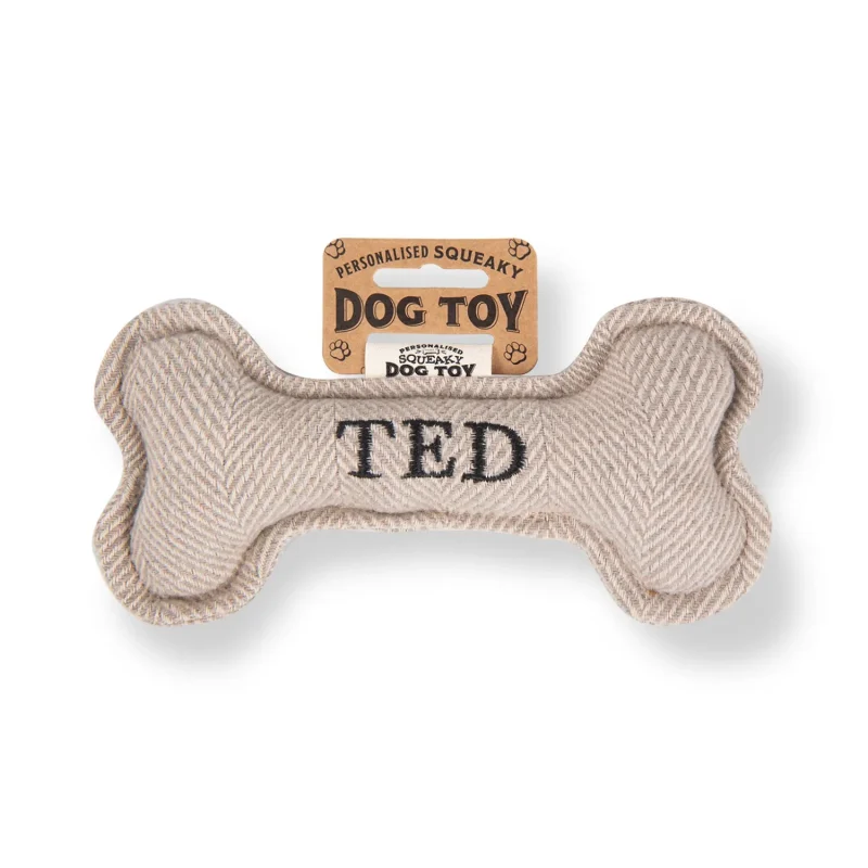 ted squeaky bone dog toy