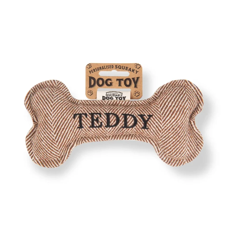 teddy squeaky bone dog toy