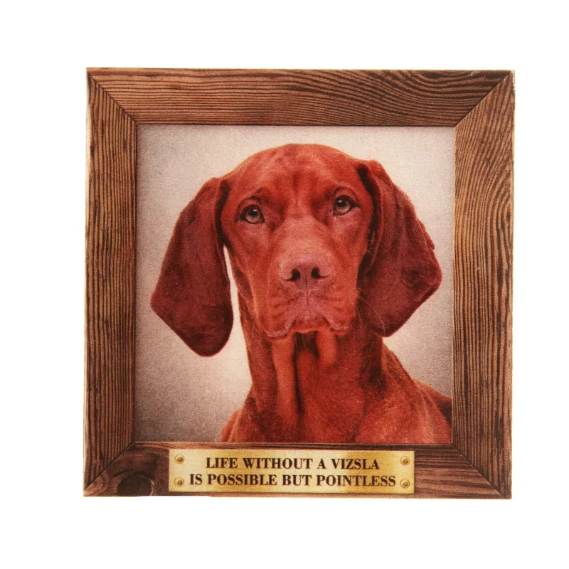 vizsla fridge magnet large pet decor