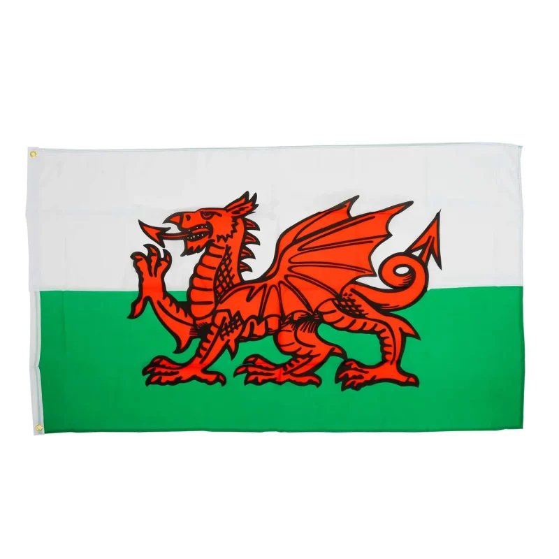 wales 5x3 flag