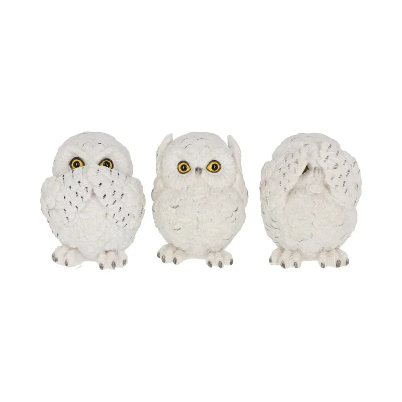 wise owls trio